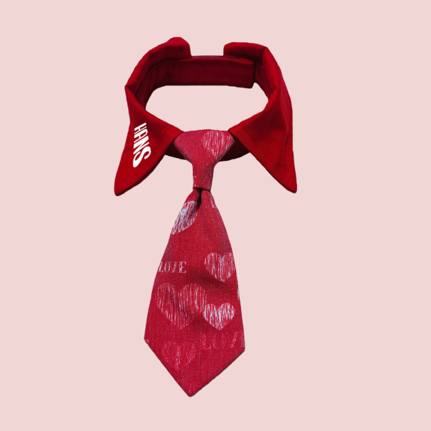 Personalized Pet Valentine's Day Tie Collar | inAccs01