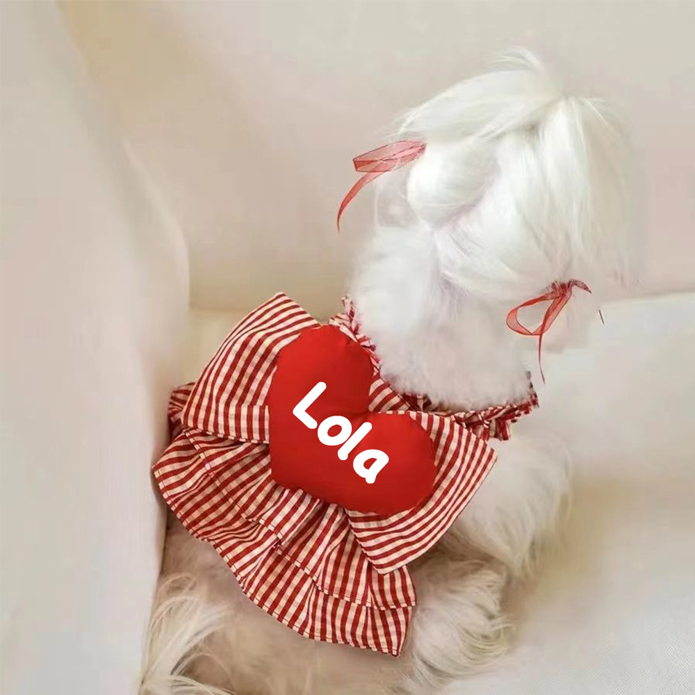 Personalized Pet Valentine's Day Dress | inCloth02
