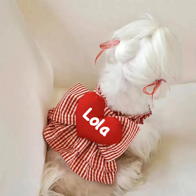 Personalized Pet Valentine's Day Dress | inCloth02