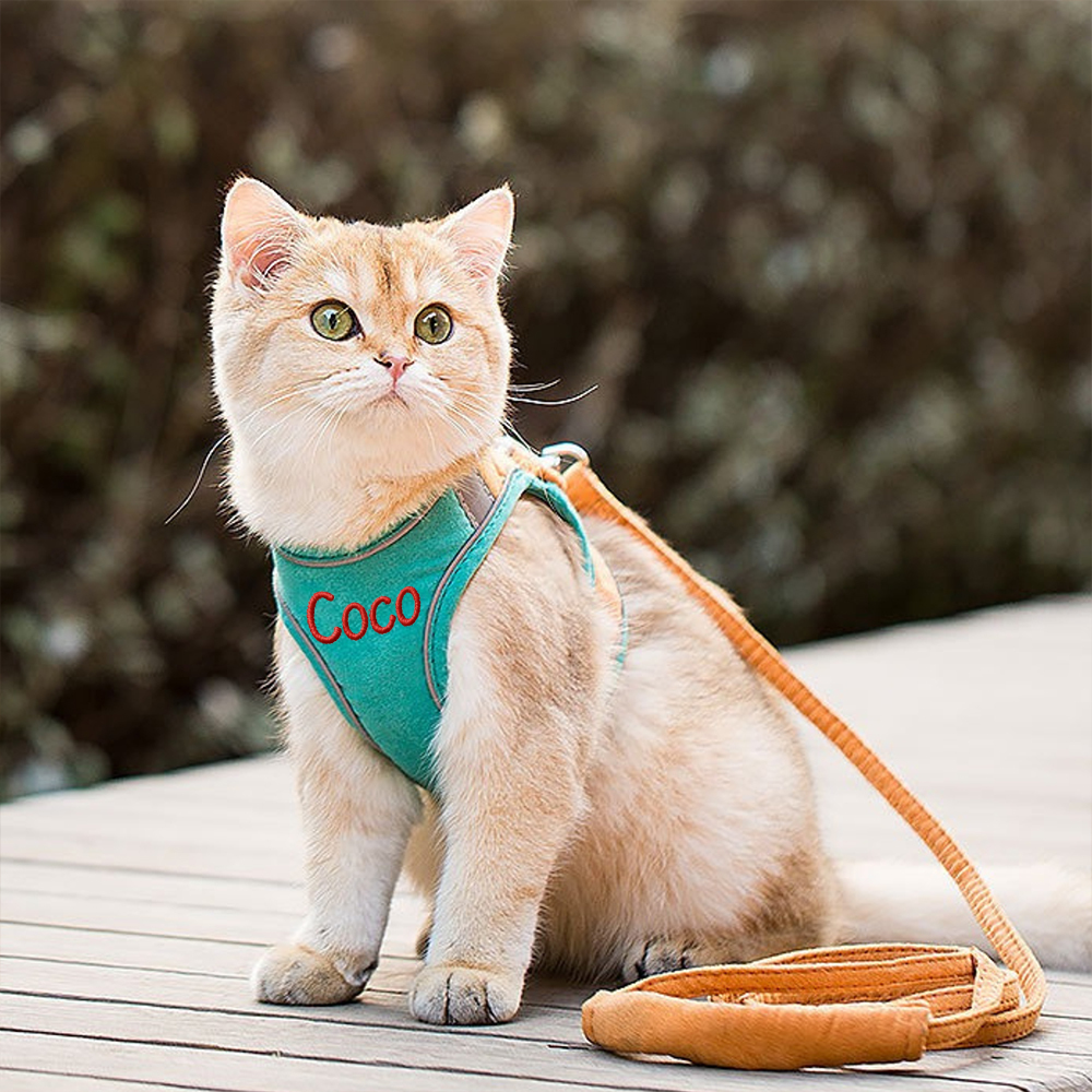 Personalized Embroidered Name Pet Harness with Leash | inAccs09