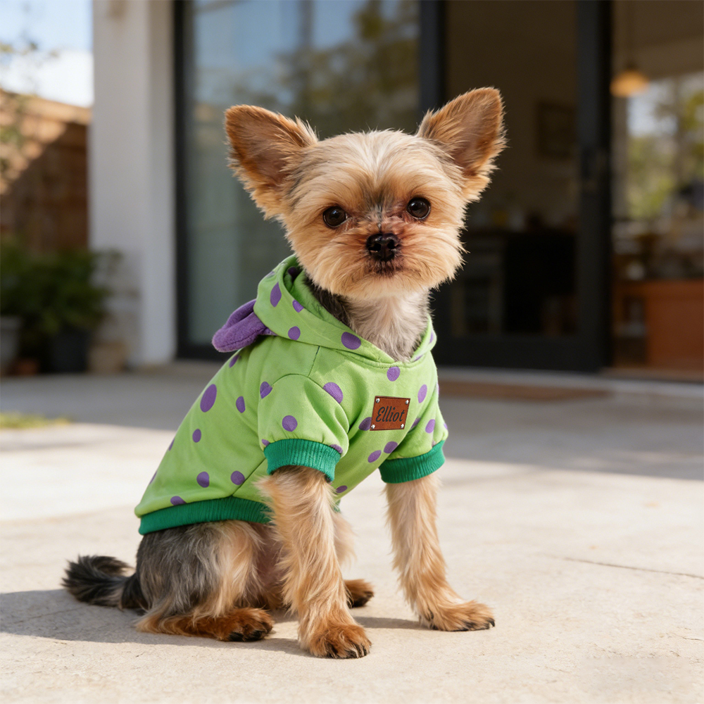 Personalized Leather Patch Name Pet Hoodie | inCloth15