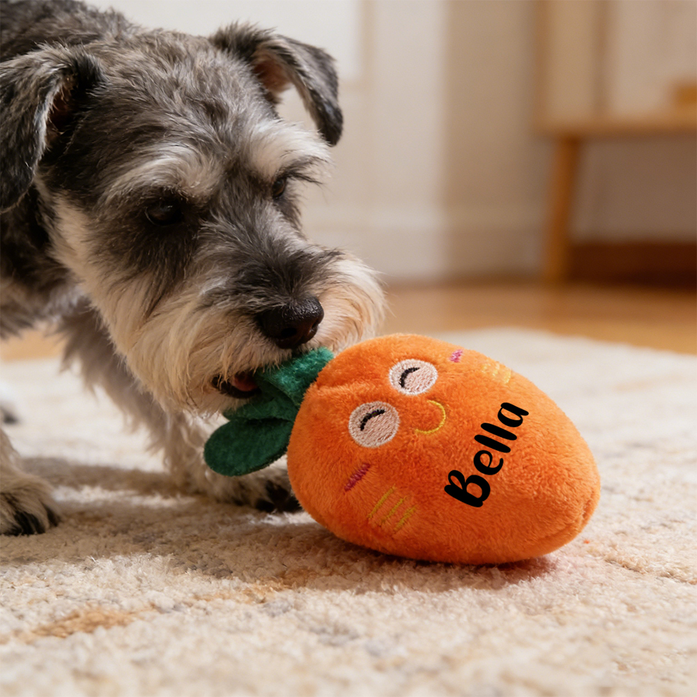 Personalized Pet Squeaky Carrot Plush Toy | inToy06