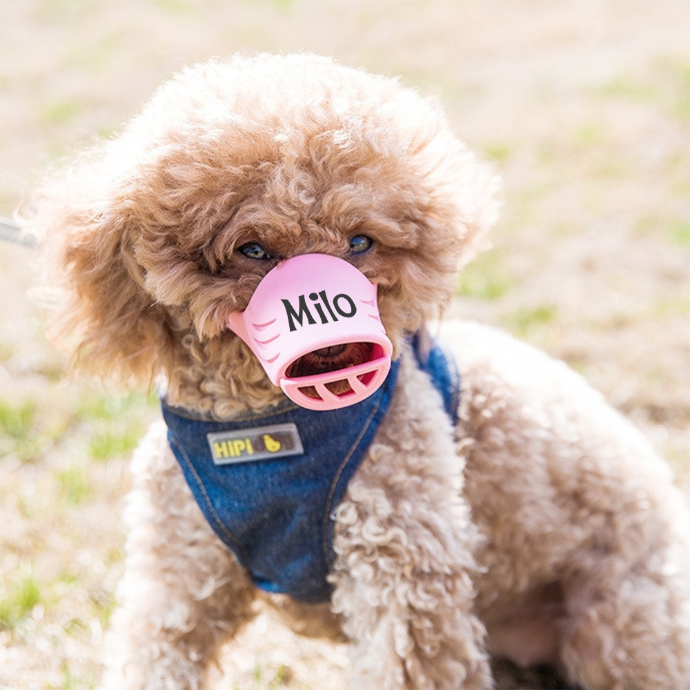 Personalized Silicone Dog Safe Anti-Biting Chewing Barking Muzzle | inAccs22