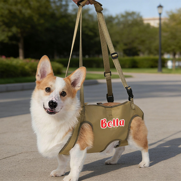 Personalized Name Dog Walking Aid Harness | inAccs24