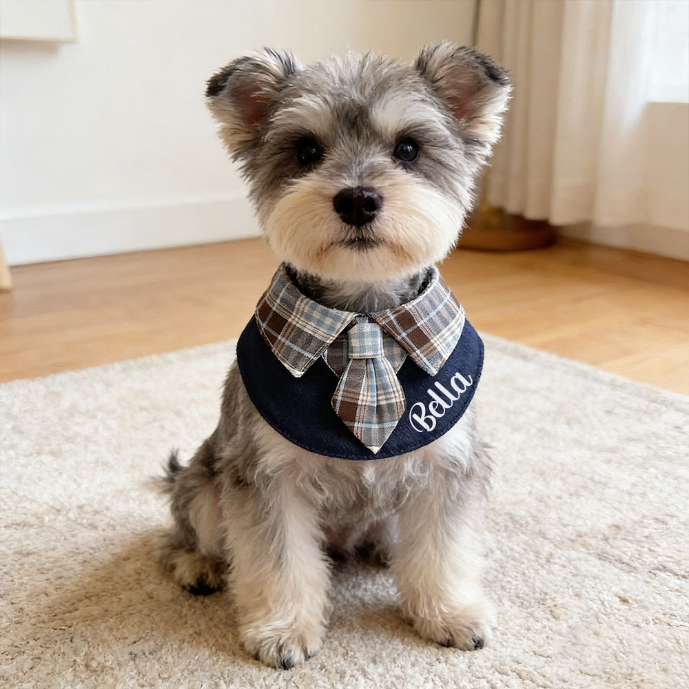 Personalized Plaid Pet Bandana Collar | inAccs26