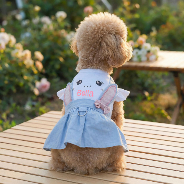 Personalized Name Easter Pet Bunny Princess Outfit | inCloth33