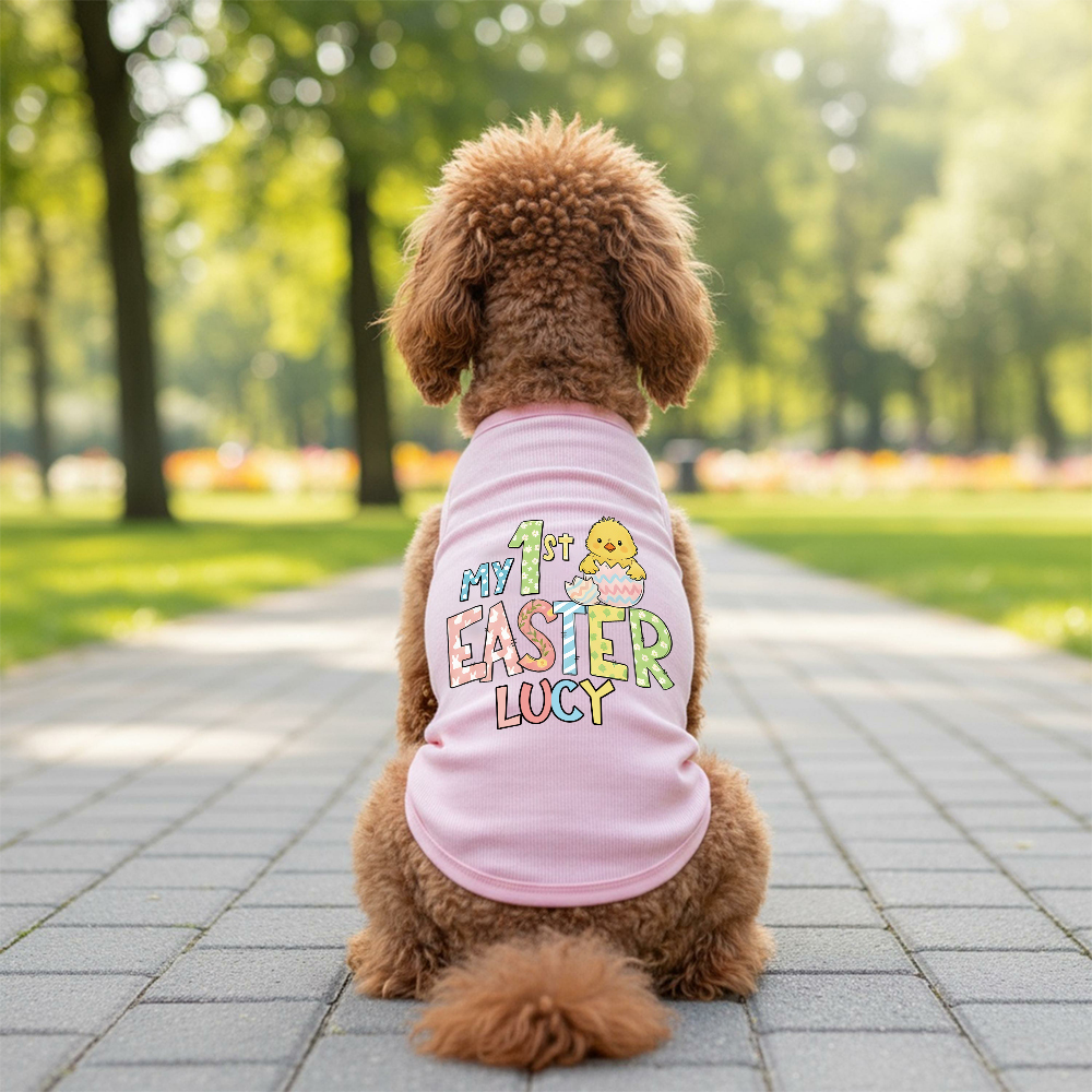 Personalized Pet's First Easter Shirt | inCloth35