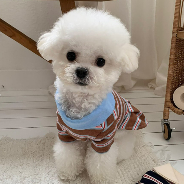 Personalized Name Summer Pet Striped Derss | inCloth48