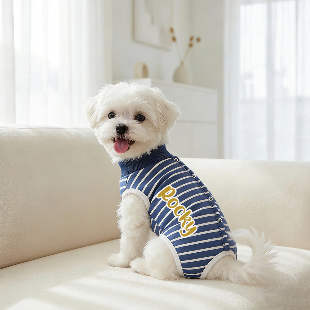 Personalized Name Anti Lick Pet Onesie | inCloth72