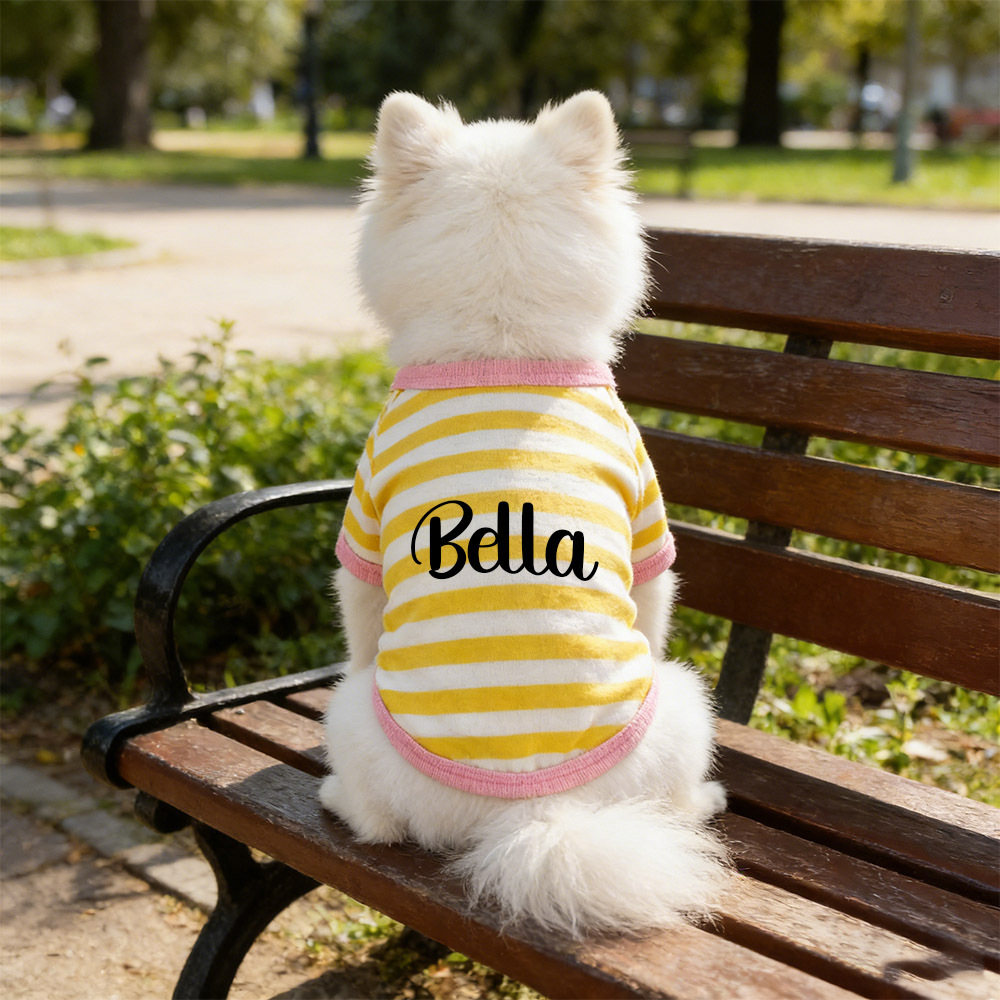 Personalized Name Summer Striped Pet T-Shirt | inCloth76