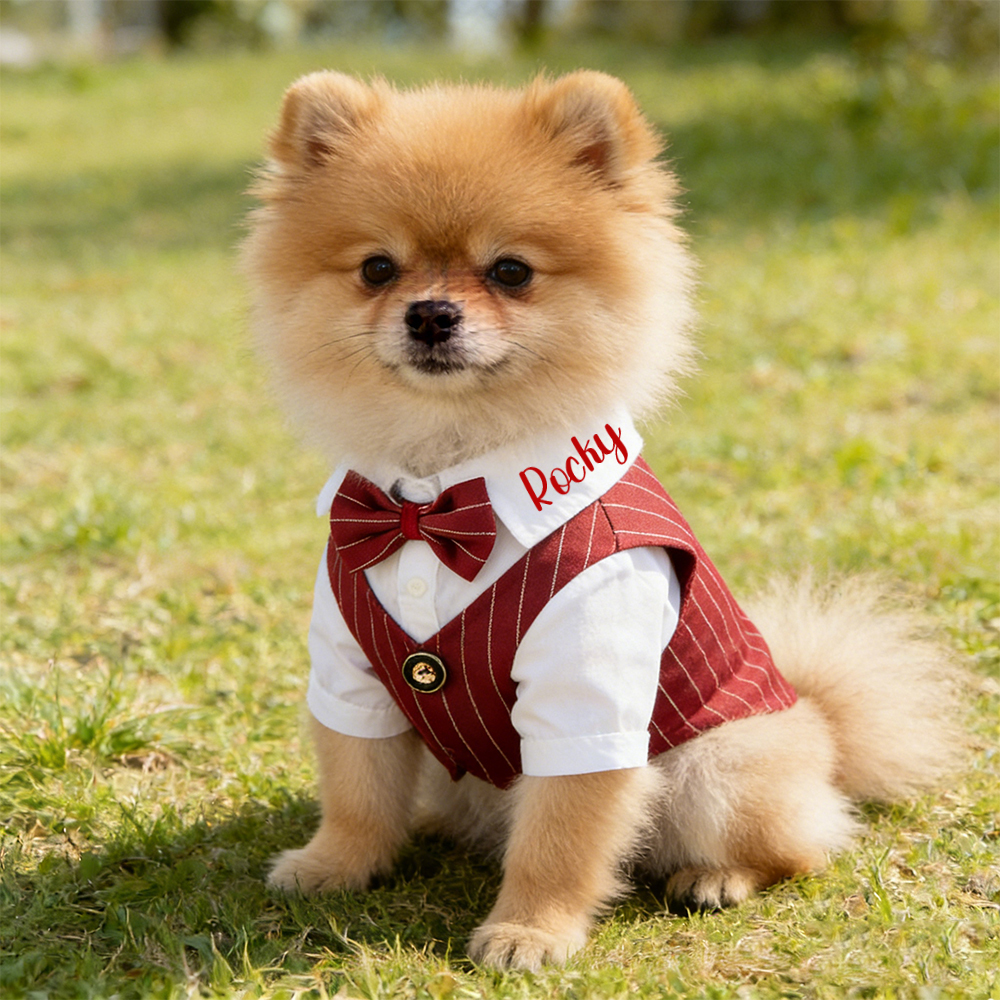 Personalized Name Pet Tuxedo with Bow Tie | inCloth80