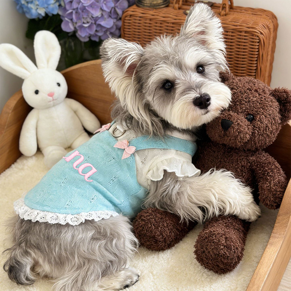 Personalized Embroidered Name Bowknot Dess | inCloth85