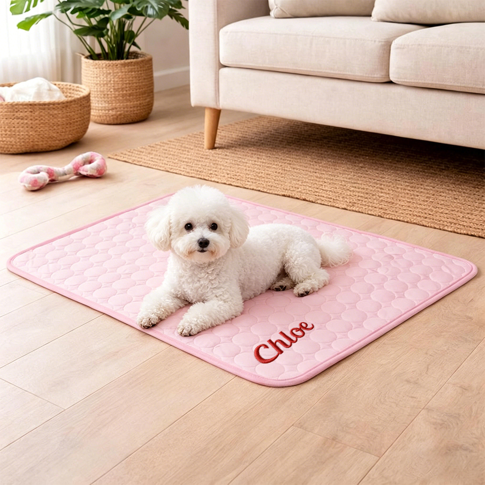 Personalized Embroidered Name Pet Summer Cooling Mat | inaccs45
