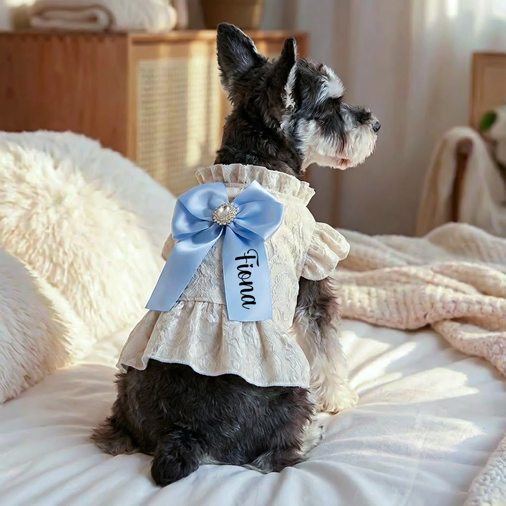 Personalized Name Pet Bowknot Lace Pet Dress | inCloth92