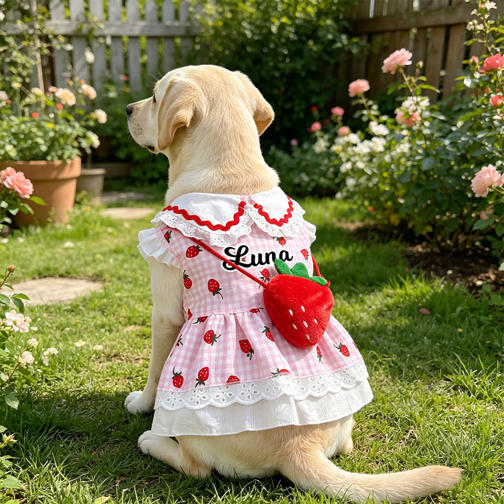 Personalized Name Strawberry Princess Pet Dress | inCloth93