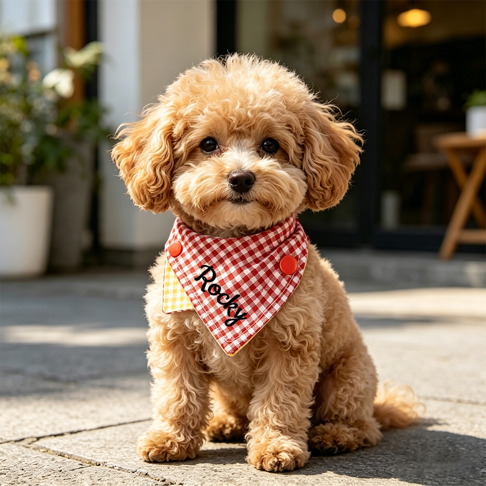 Personalized Embroidered Name Pet Bandana | inAccs51