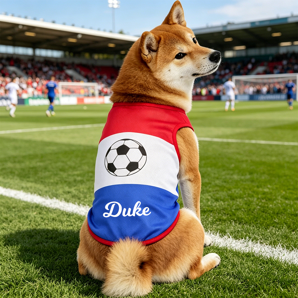 Personalized Pet Match Day Soccer Jersey | inCloth102