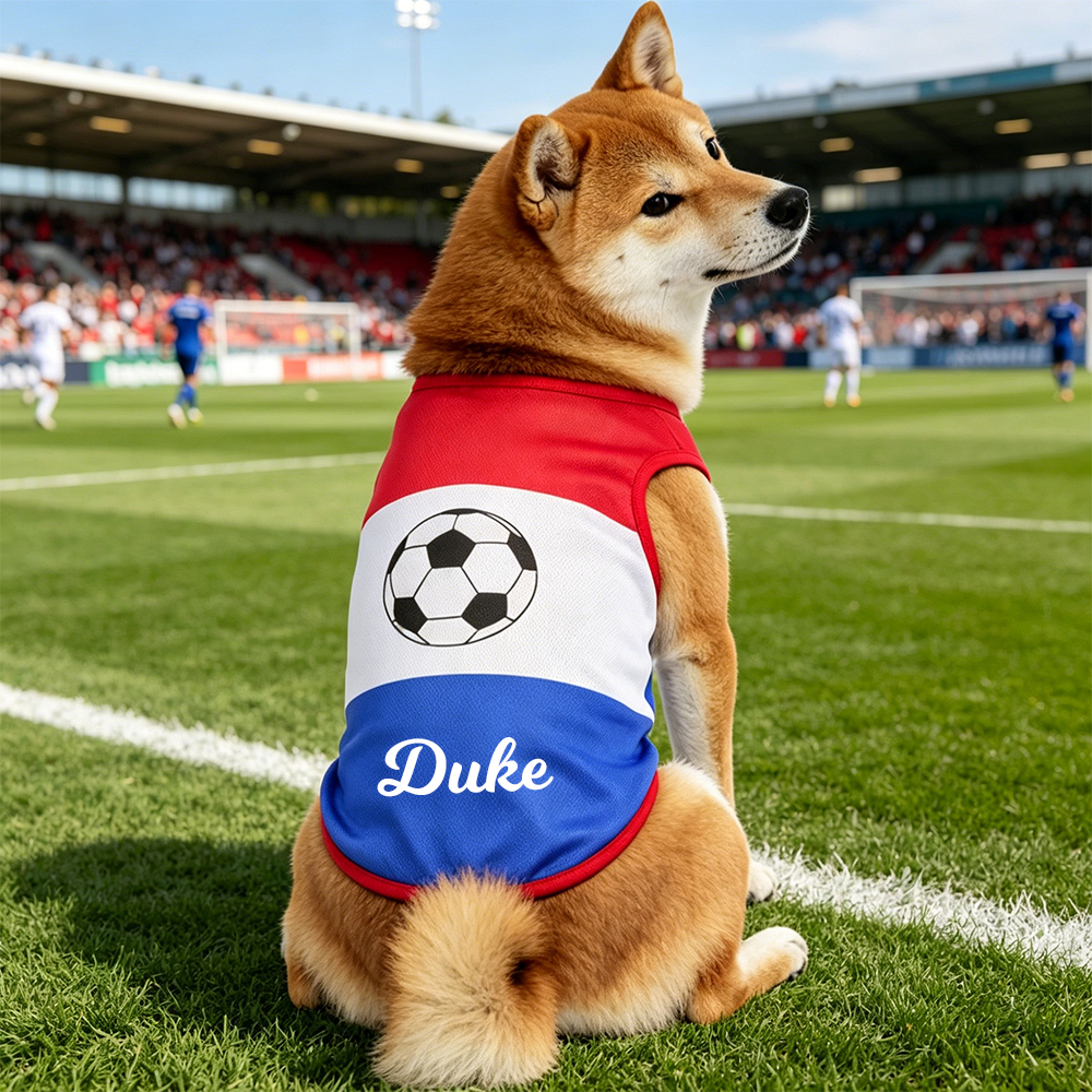 Personalized Pet Match Day Soccer Jersey | inCloth102