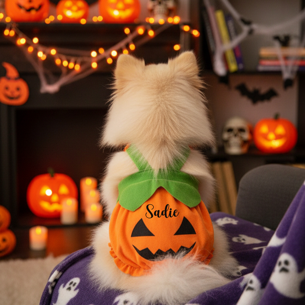 Personalized Pet Halloween Pumpkin Pinafore Dress | inCloth112