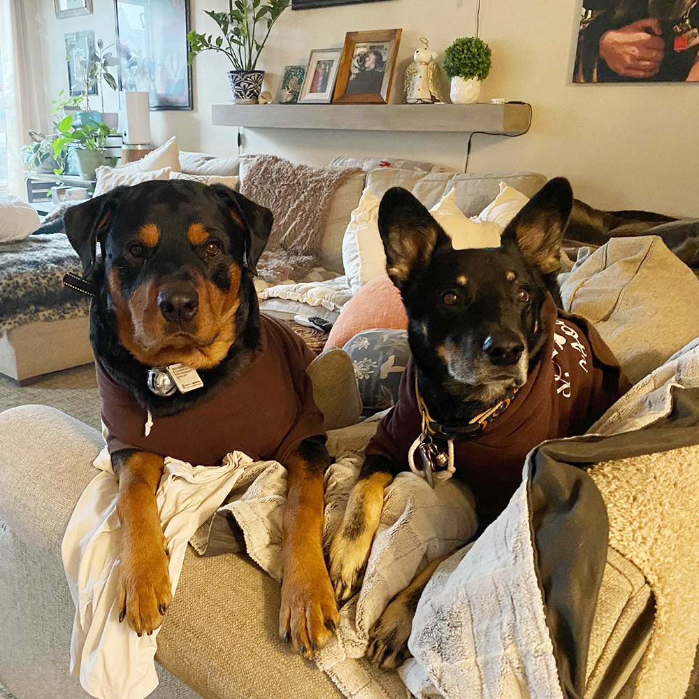 Personalized Cozy Season Warm Puppy Hoodie | BKPet282