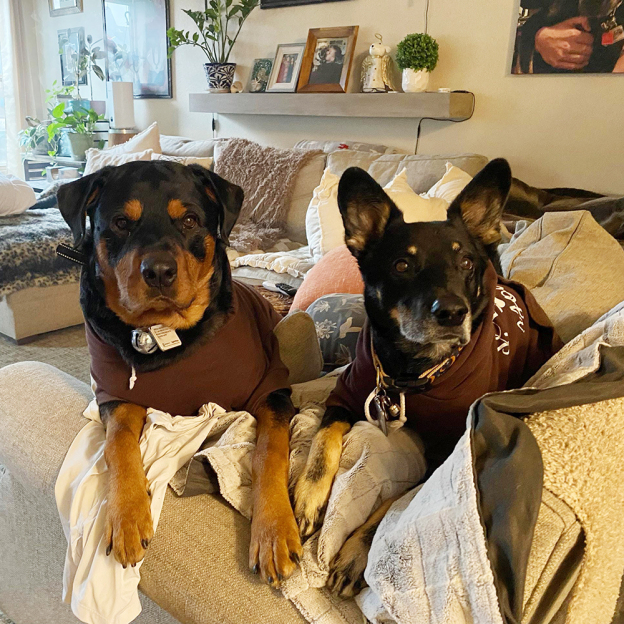 Personalized Cozy Season Warm Puppy Hoodie | BKPet282