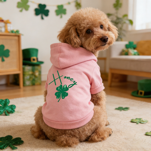Personalized Name St. Patricks Day Pet Hoodie | inCloth04