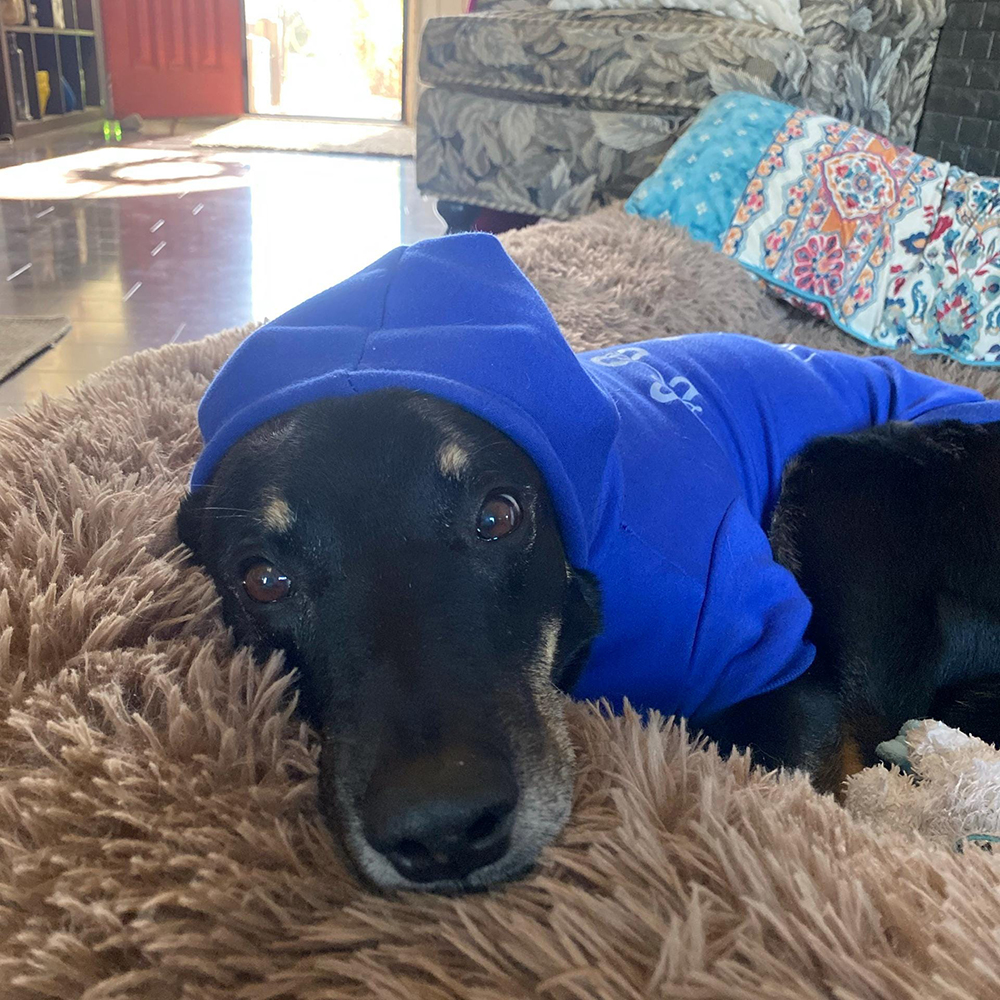 Personalized Cozy Season Warm Puppy Hoodie | BKPet282