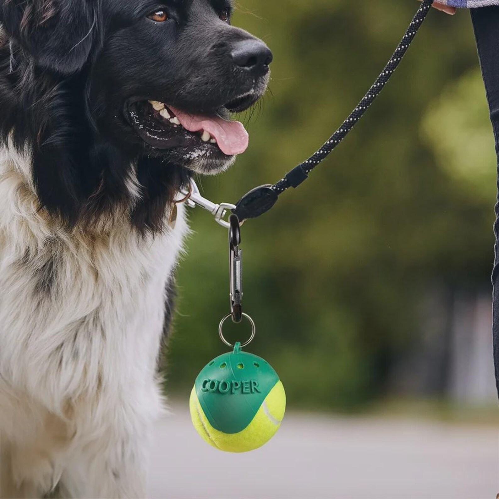 Personalized 3D Printed Pet Toy Ball Carrier  | inToy07