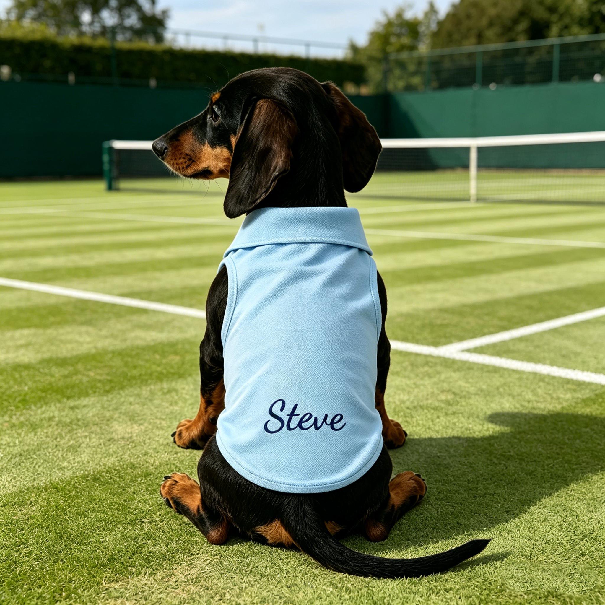 Personalized Embroidered Dog Cat Polo Shirt | inCloth108