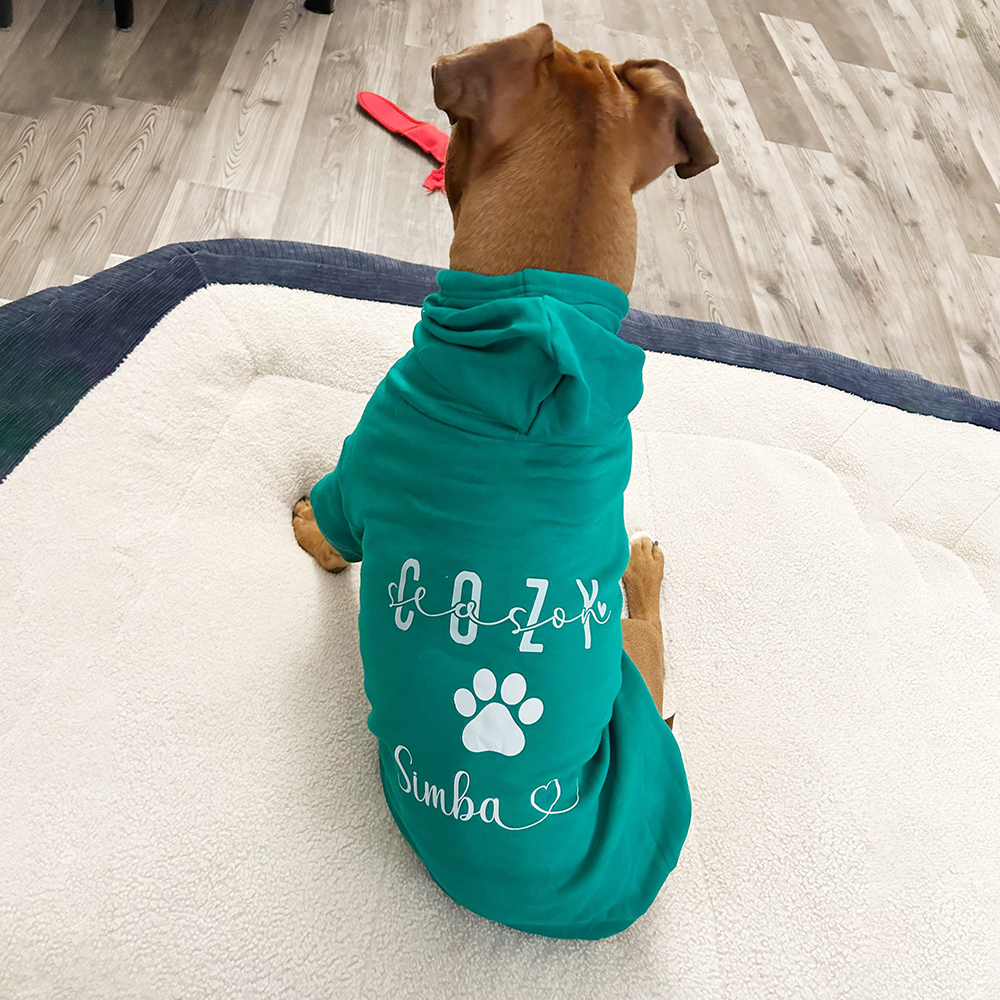 Personalized Cozy Season Warm Puppy Hoodie | BKPet282