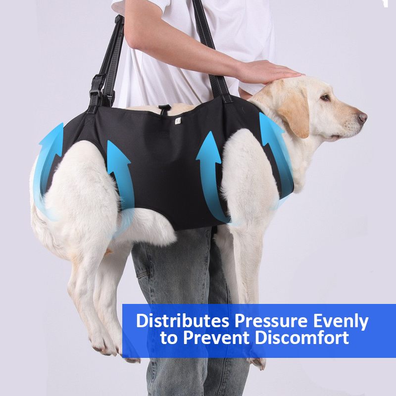 Personalized Name Dog Walking Aid Harness | inAccs24