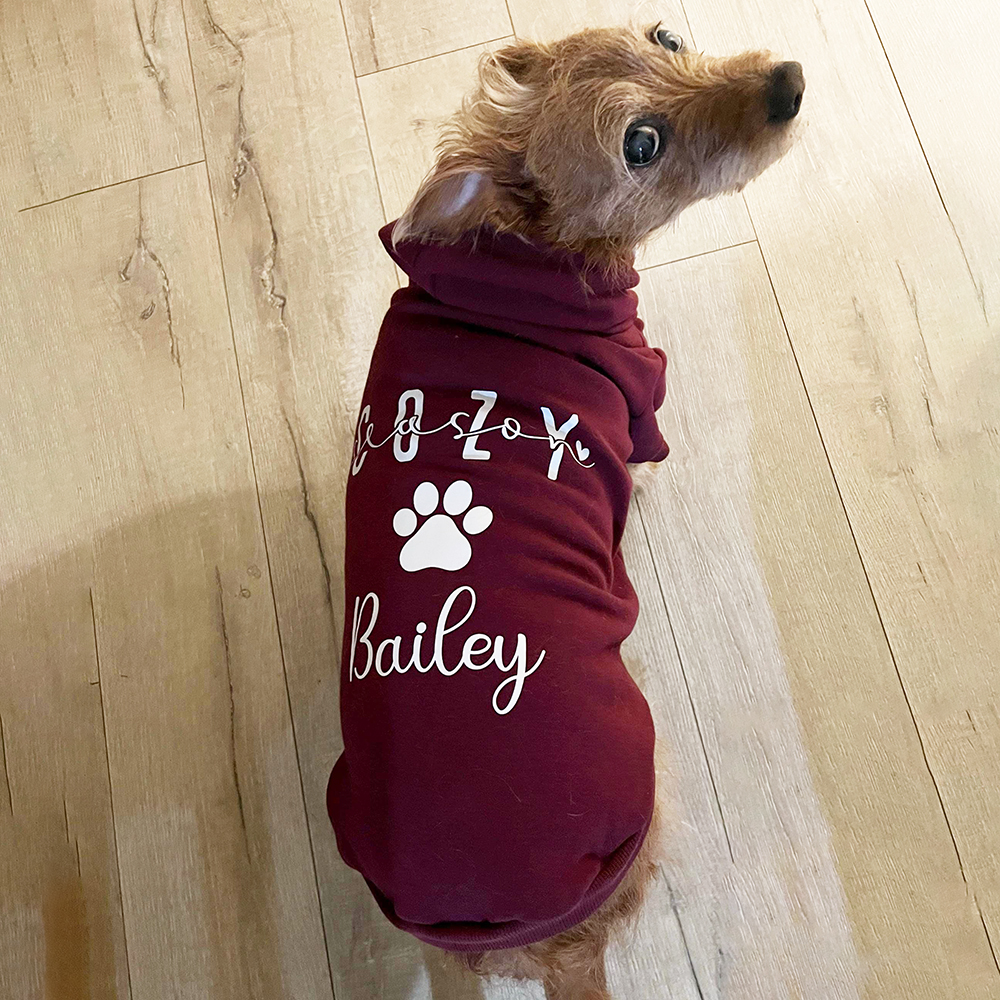 Personalized Cozy Season Warm Puppy Hoodie | BKPet282