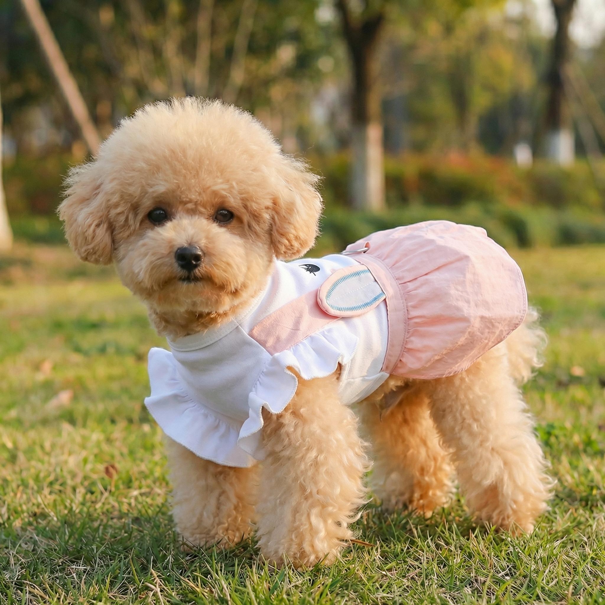 Personalized Name Easter Pet Bunny Princess Outfit | inCloth33