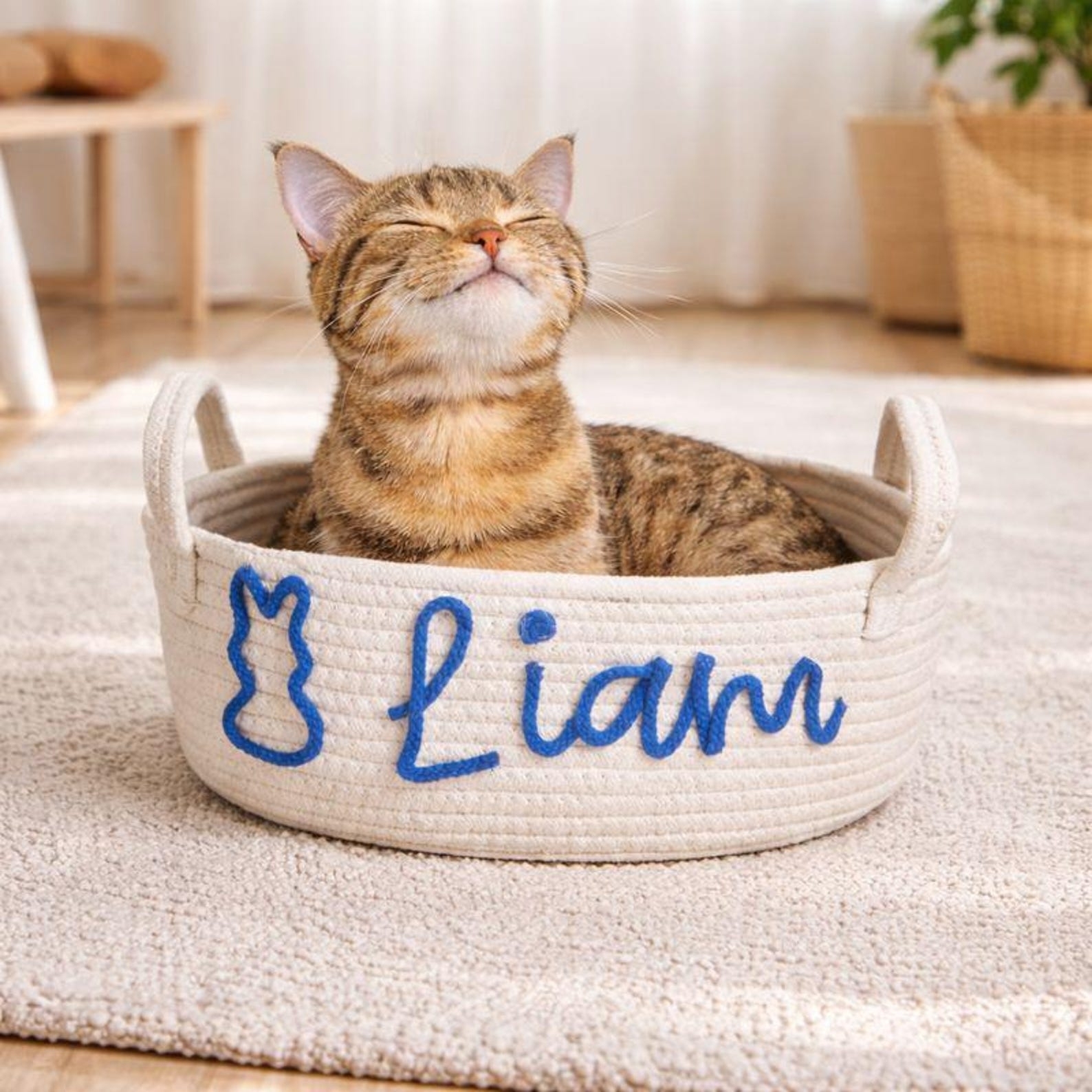 Personalized Handmade Embroidered Pet Storage Basket | inToy03