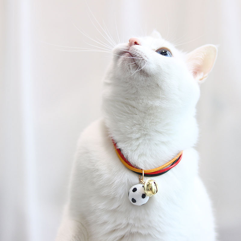 Personalized Engraved Name Soccer Pet Collar | inAccs50