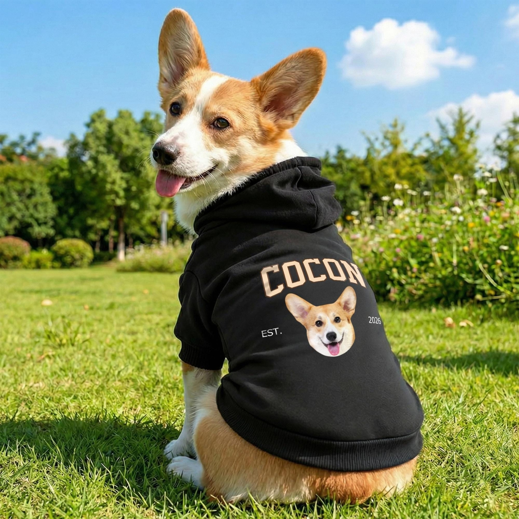 Personalized Funny Face Photo Soft Pet Hoodie | inCloth44
