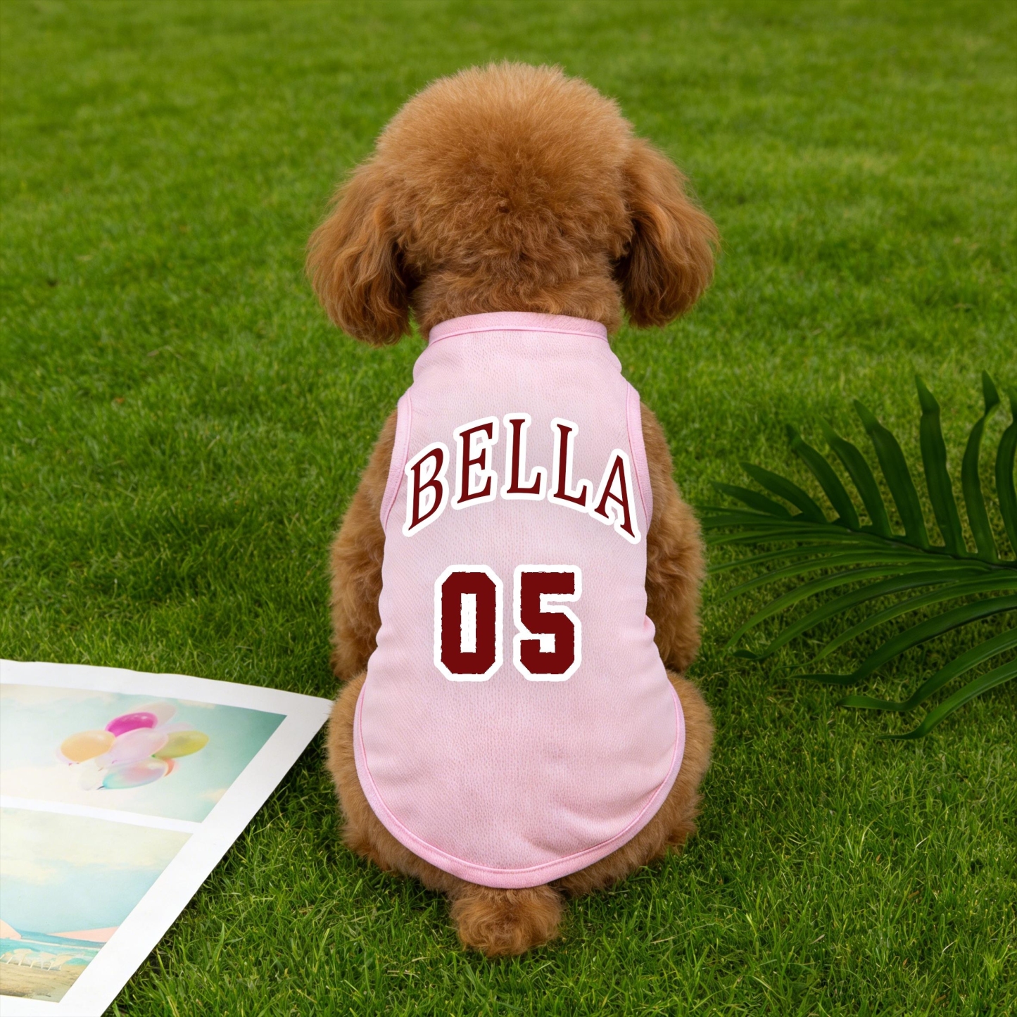 Personalized Breathable Pet Vest with Name & Number | inCloth55