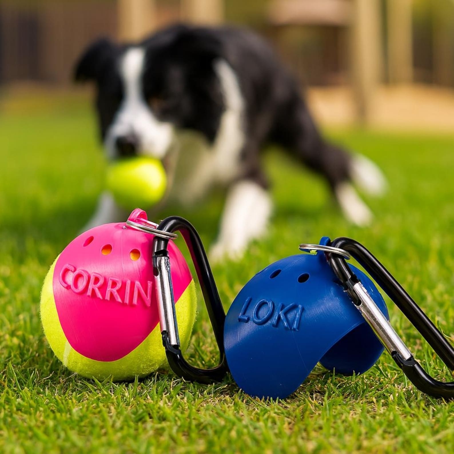 Personalized 3D Printed Pet Toy Ball Carrier | inToy07