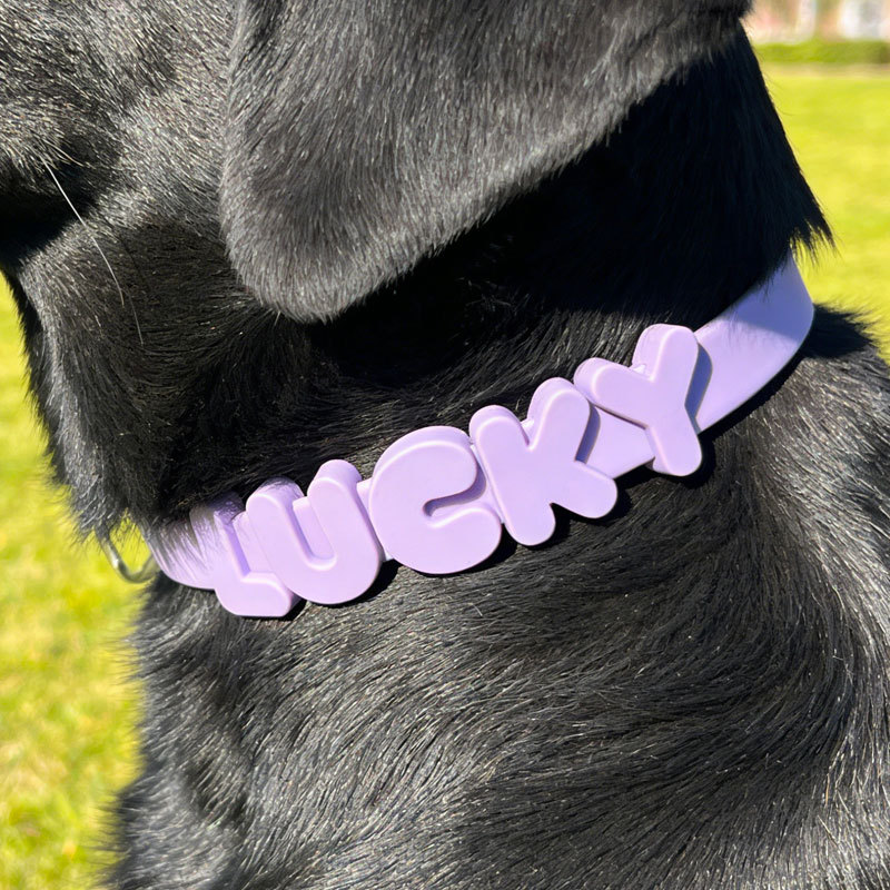 Personalized Silicone Pet Collar with Name | inAccs54