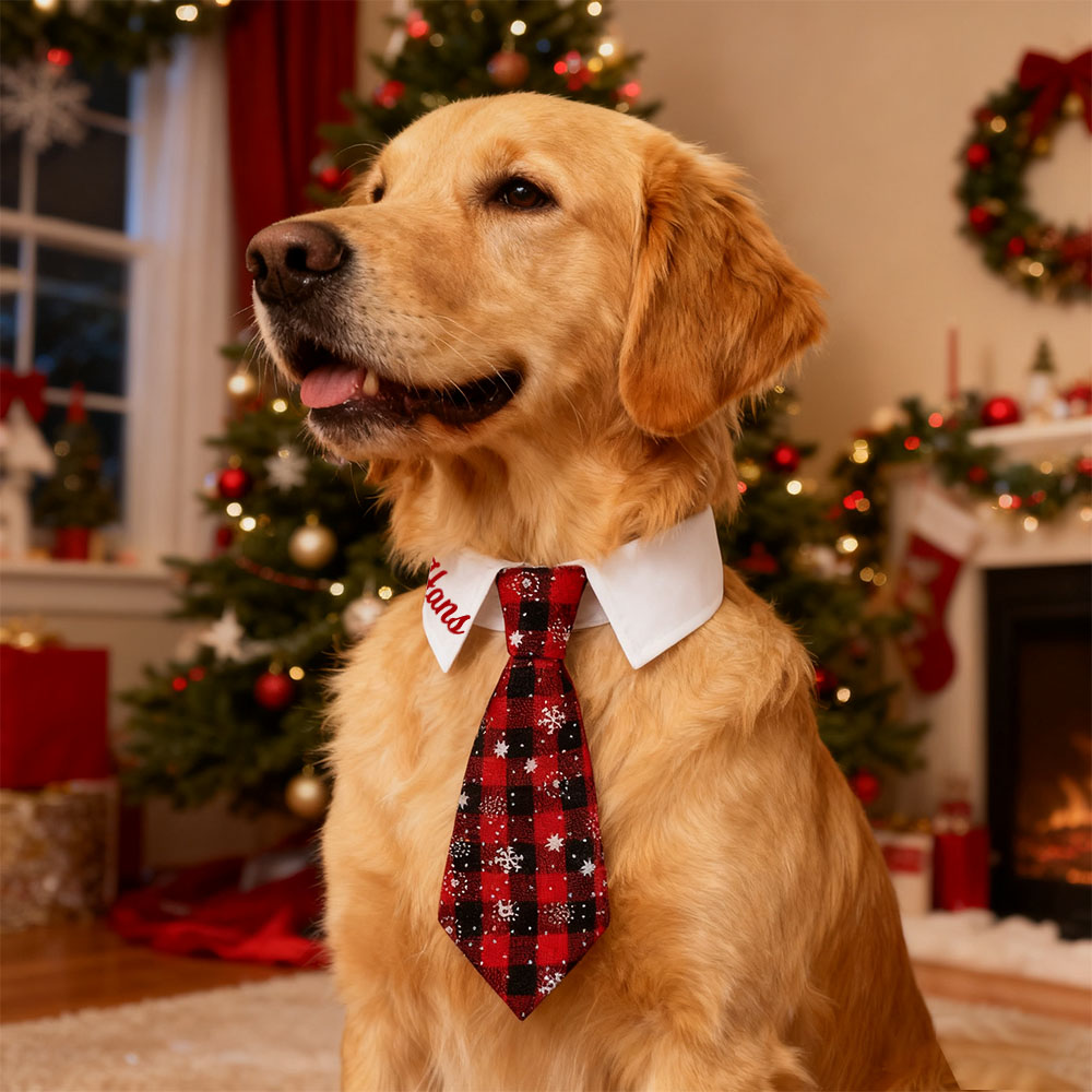 Personalized Name Christmas Pet Tie | KKPet327