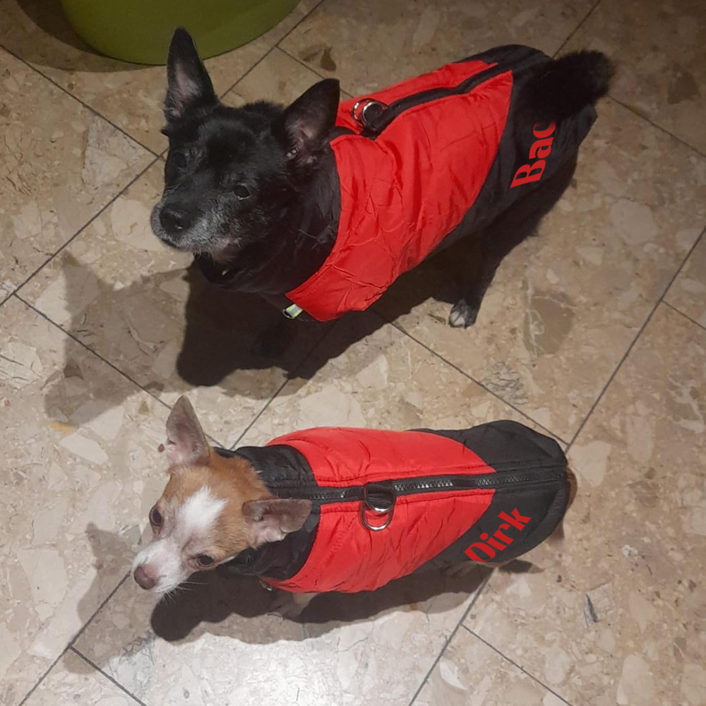 Personalized Pet Winter Warm Windproof Puffer Jacket | BKPet246