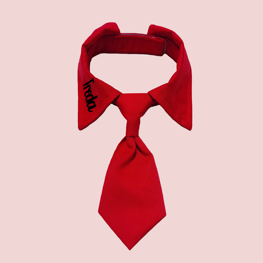 Personalized Pet Valentine's Day Tie Collar | inAccs01