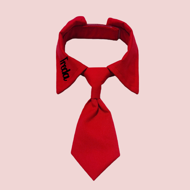 Personalized Pet Valentine's Day Tie Collar | inAccs01