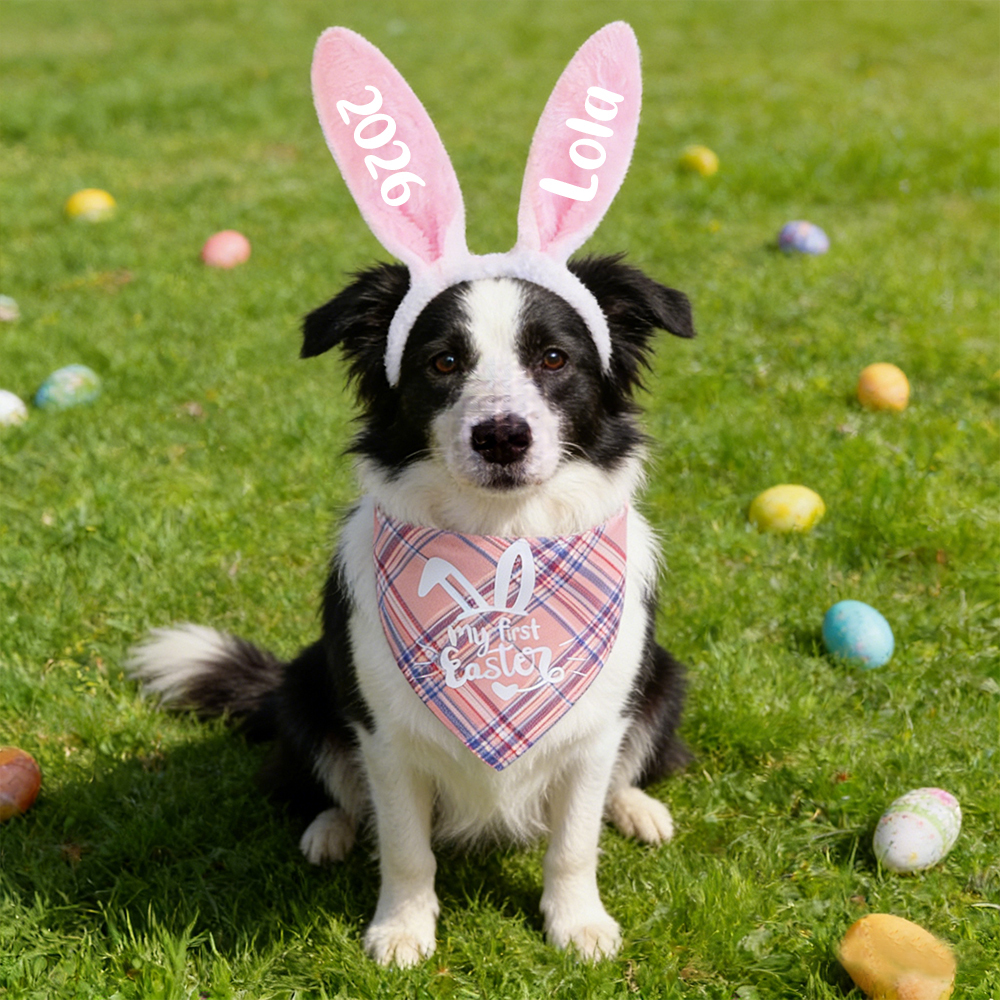 Personalized Easter Pet Bunny Headband and Bandana Set | inAccs11