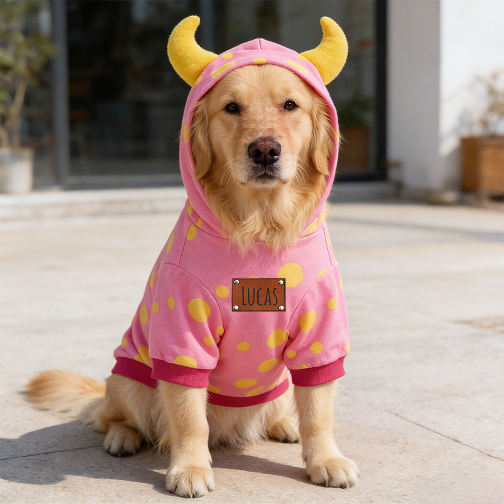 Personalized Leather Patch Name Pet Hoodie | inCloth15