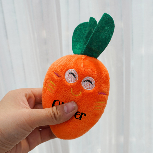 Personalized Pet Squeaky Carrot Plush Toy  | inToy06