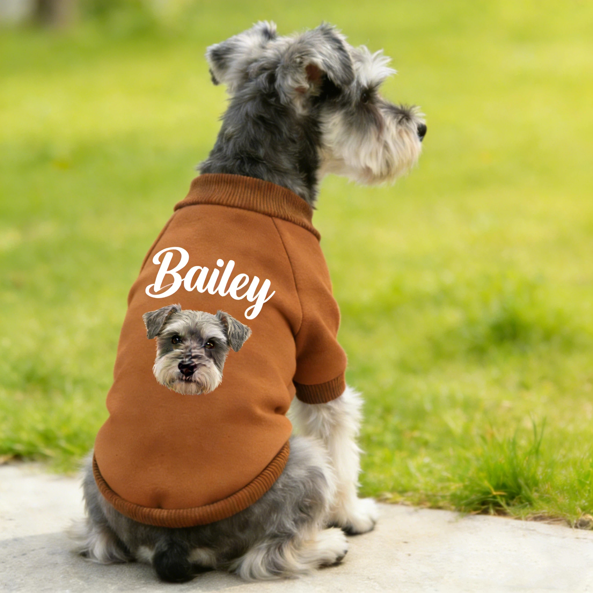 Personalized Name Pet Sweatshirt With Photo | inCloth26