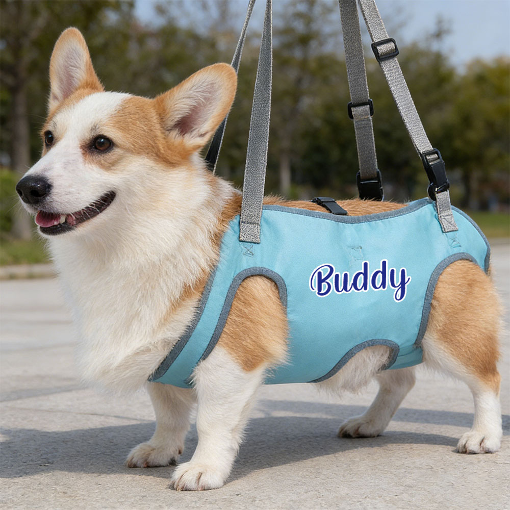 Personalized Name Dog Walking Aid Harness | inAccs24