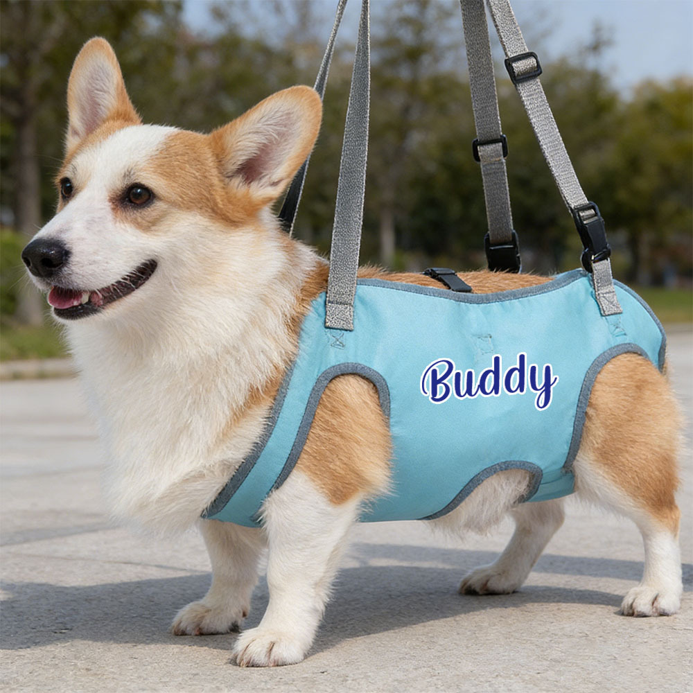 Personalized Name Dog Walking Aid Harness | inAccs24