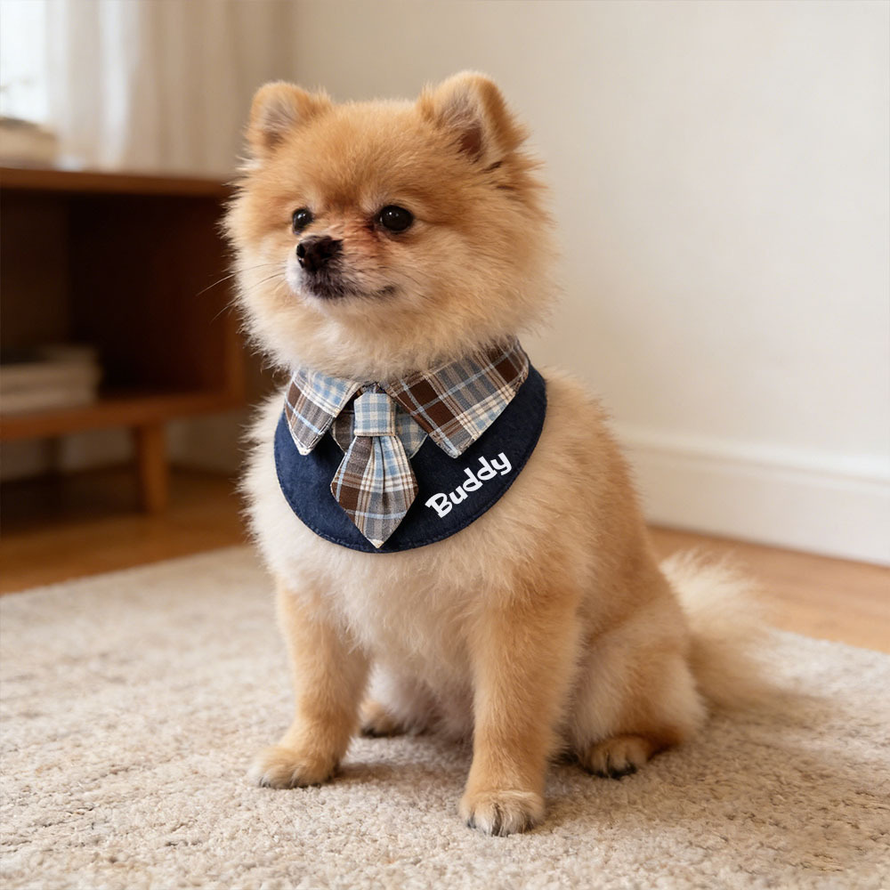 Personalized Plaid Pet Bandana Collar | inAccs26